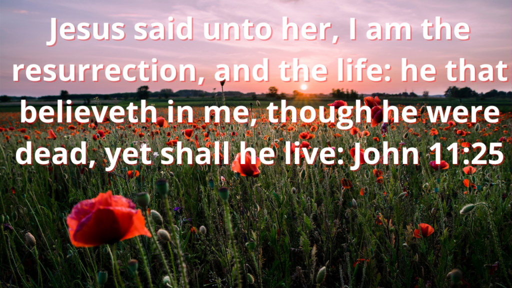Jesus said unto her John 11:25